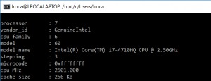 Información de la CPU usando Bash de Ubuntu en Windows