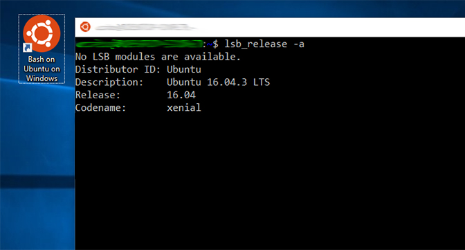 Windows Subsystem for Linux