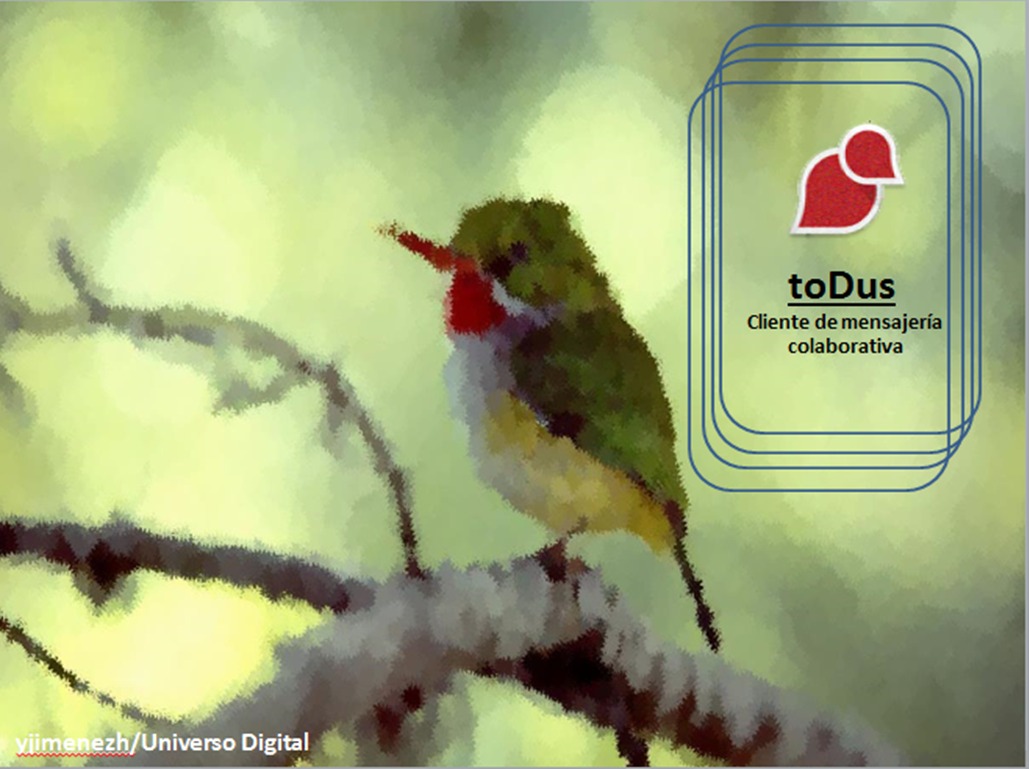 aplicación cubana de mensajería instantánea, toDus